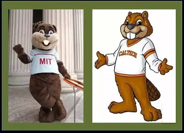 校园吉祥物设计的起源