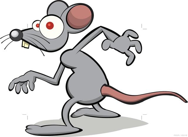 IP形象设计是指什么？