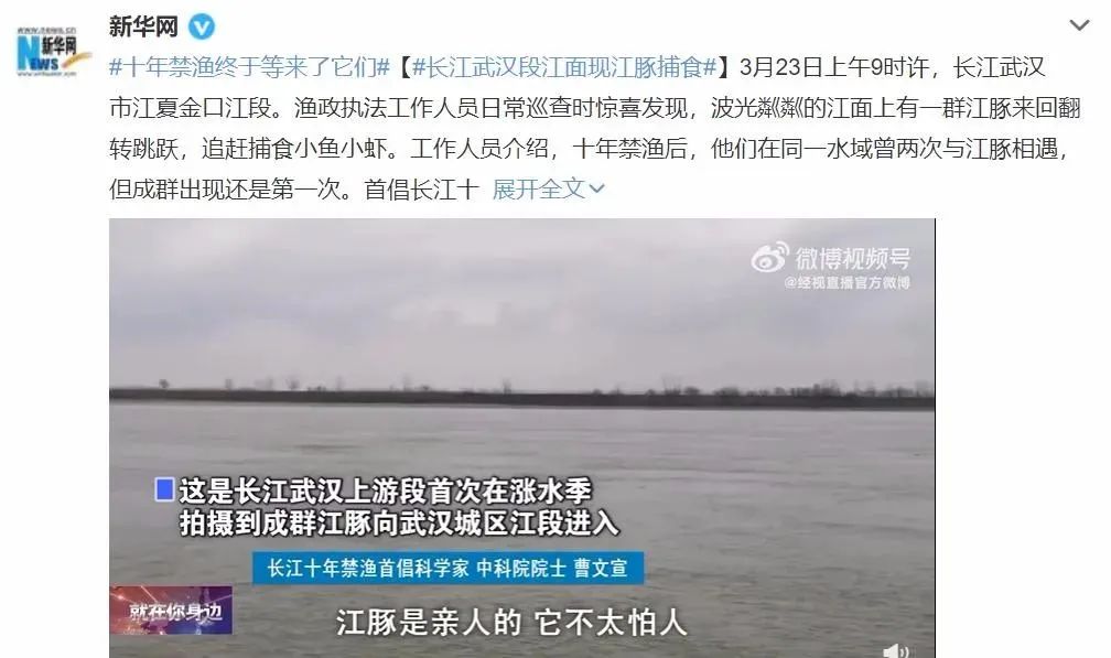 直击！华为推出“数字江豚”助力武汉打响生态保卫战！