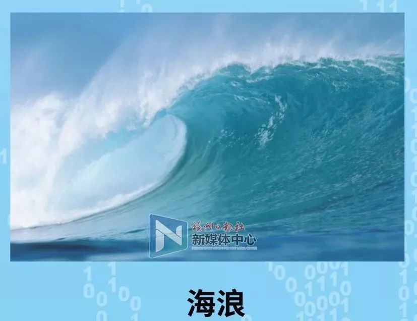 第五届数字中国建设峰会开幕!吉祥物「数娃」来了! 图片
