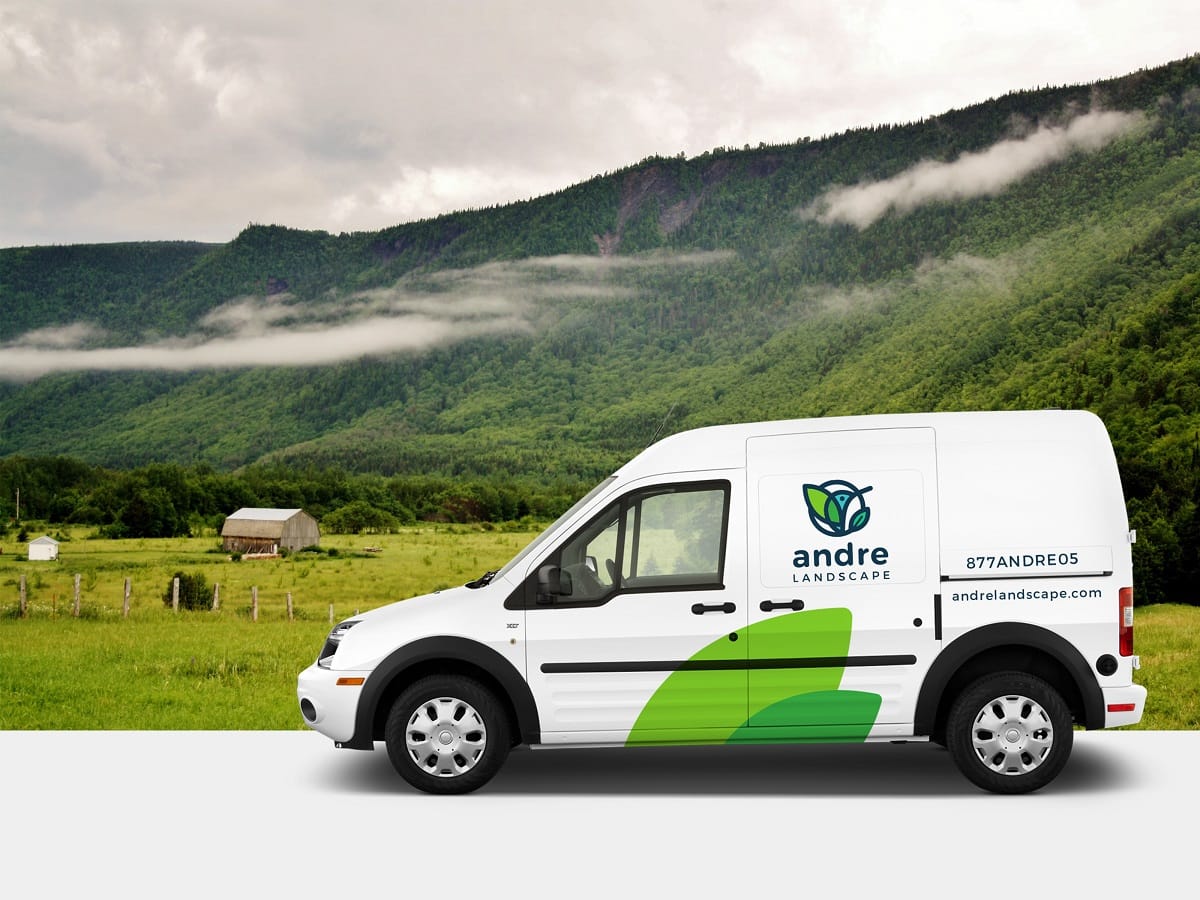 吉祥物设计 | 在品牌营销中的情感传达