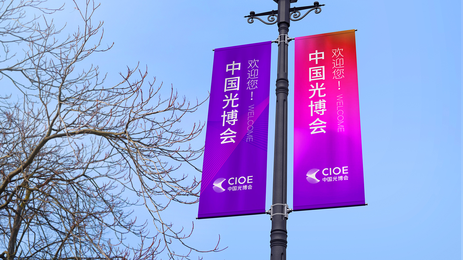 选择优秀品牌VI设计公司，企业形象升级的关键