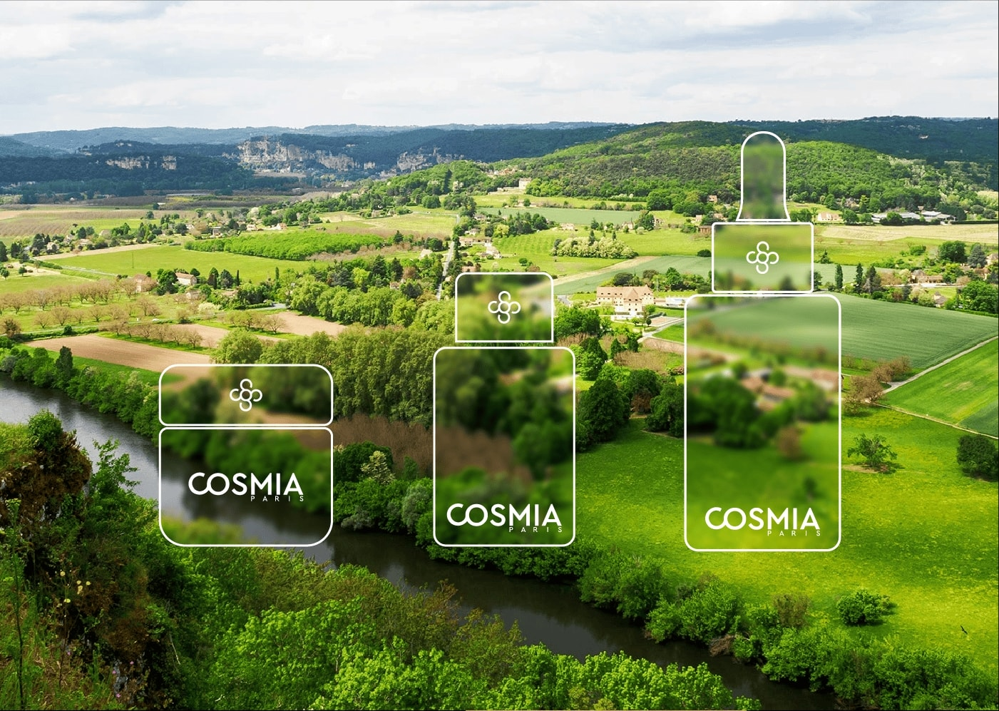 化妆品牌品牌ip策略