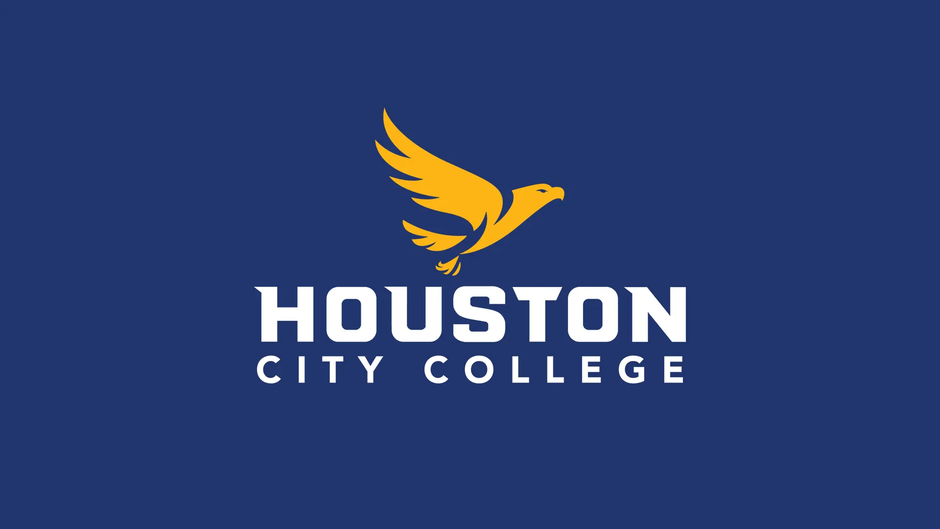 揭秘休斯顿城市学院新LOGO设计:一只雄鹰的现代蜕变之旅