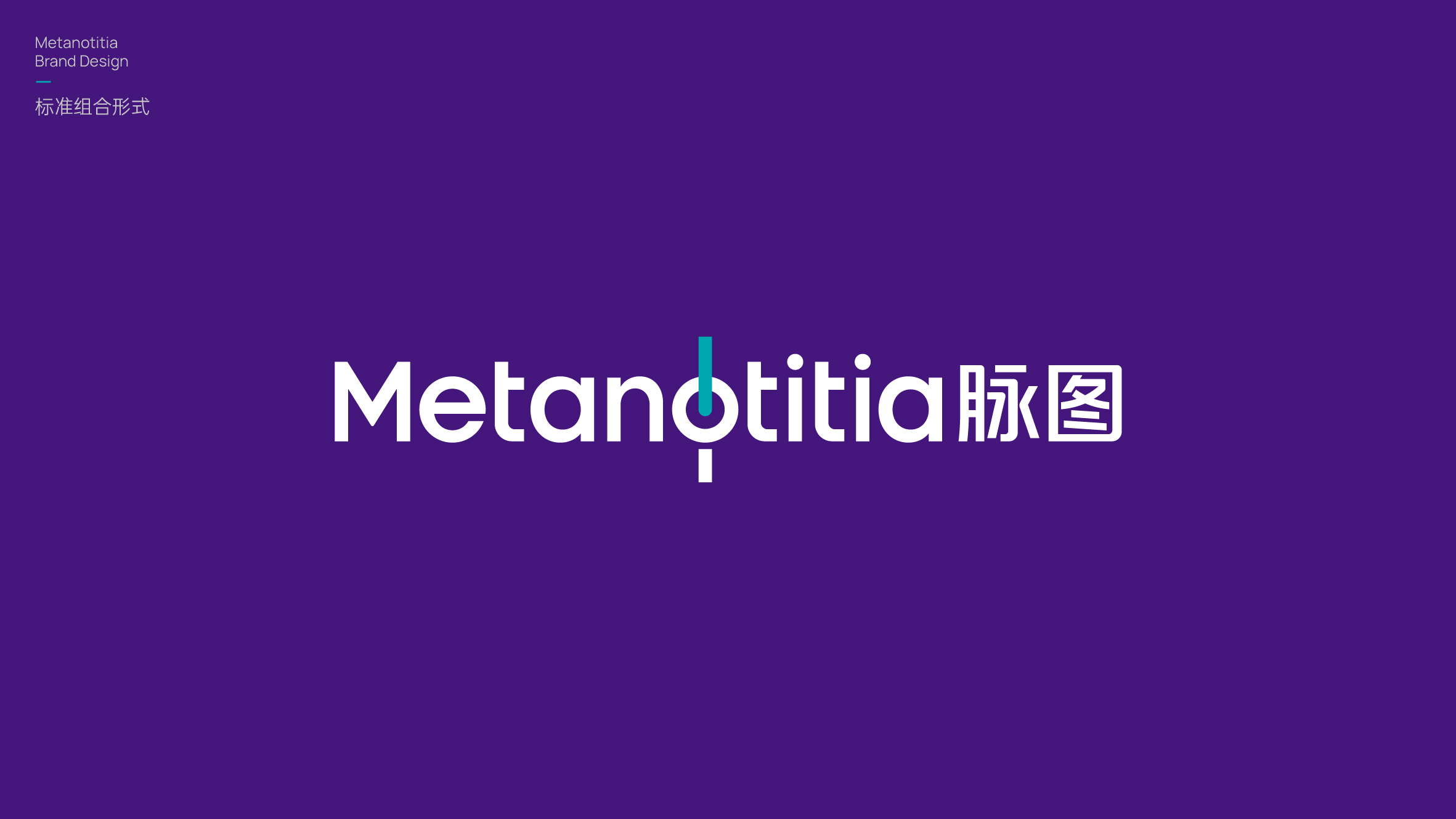 国际品牌VI升级案例分享：成功转型背后的设计秘诀