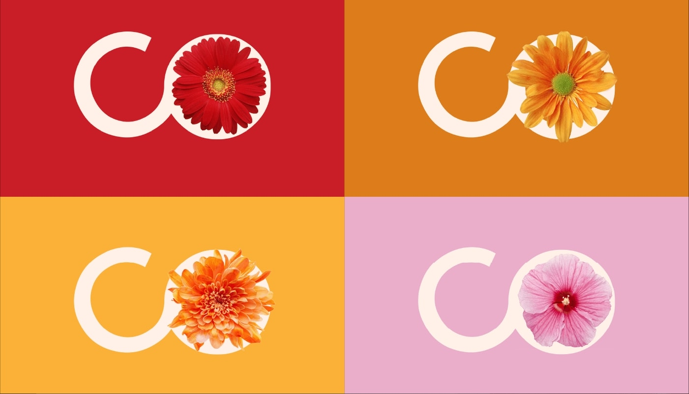 化妆品品牌ip策略