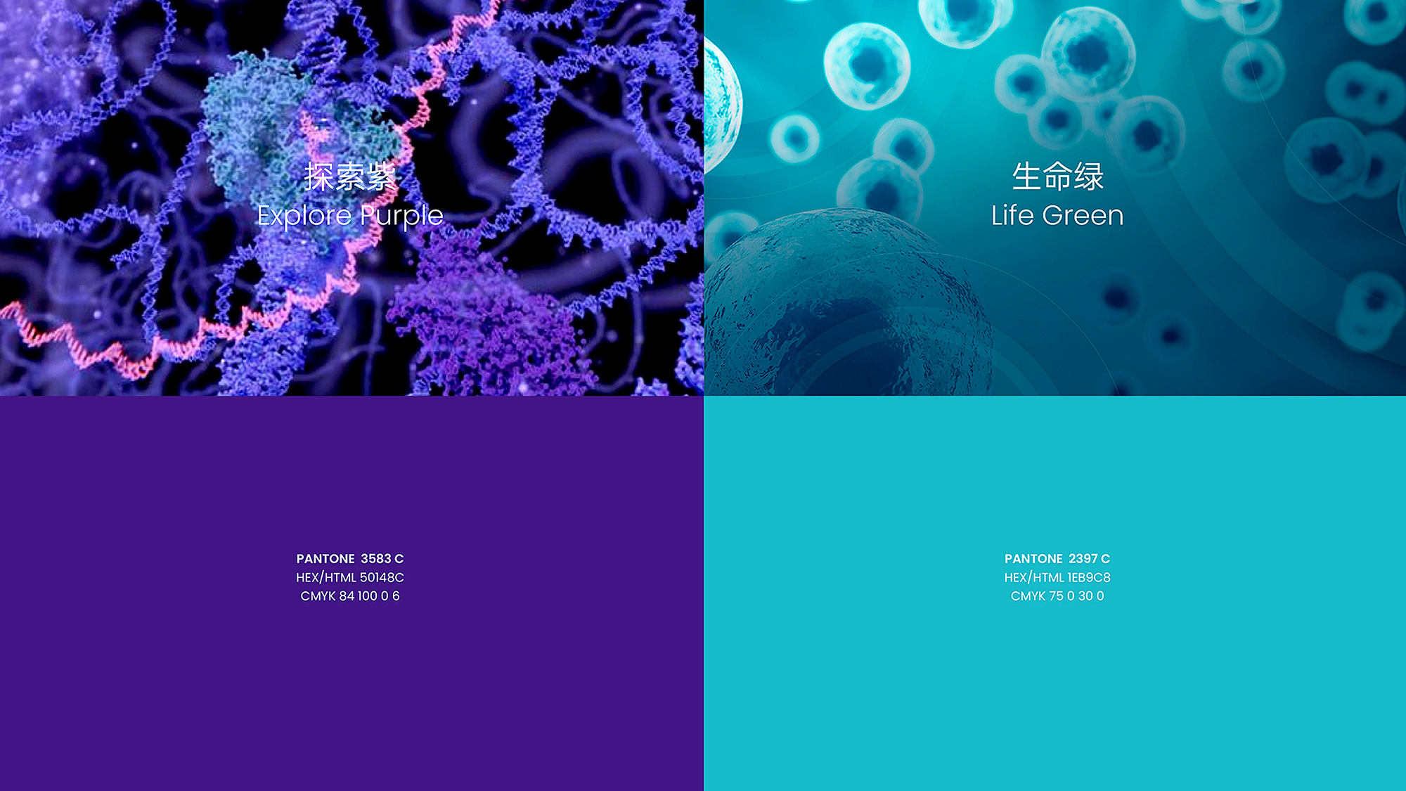 顶级茶品牌VI设计案例解析，成功经验分享