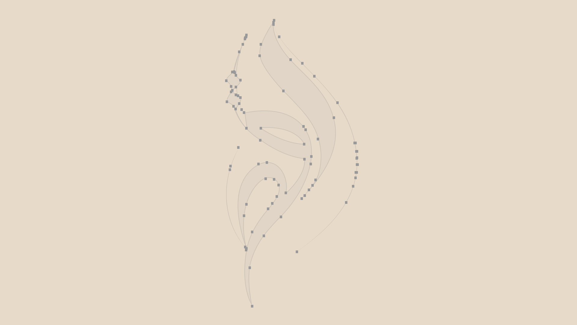 学校品牌ip策略