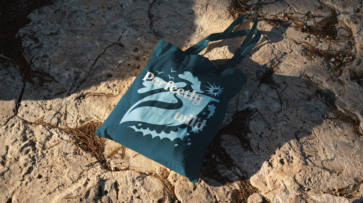 从诺福克案例学,如何用品牌VI视觉系统引导千万游客的可持续行为 旅游ip形象设计之无纺布袋设计