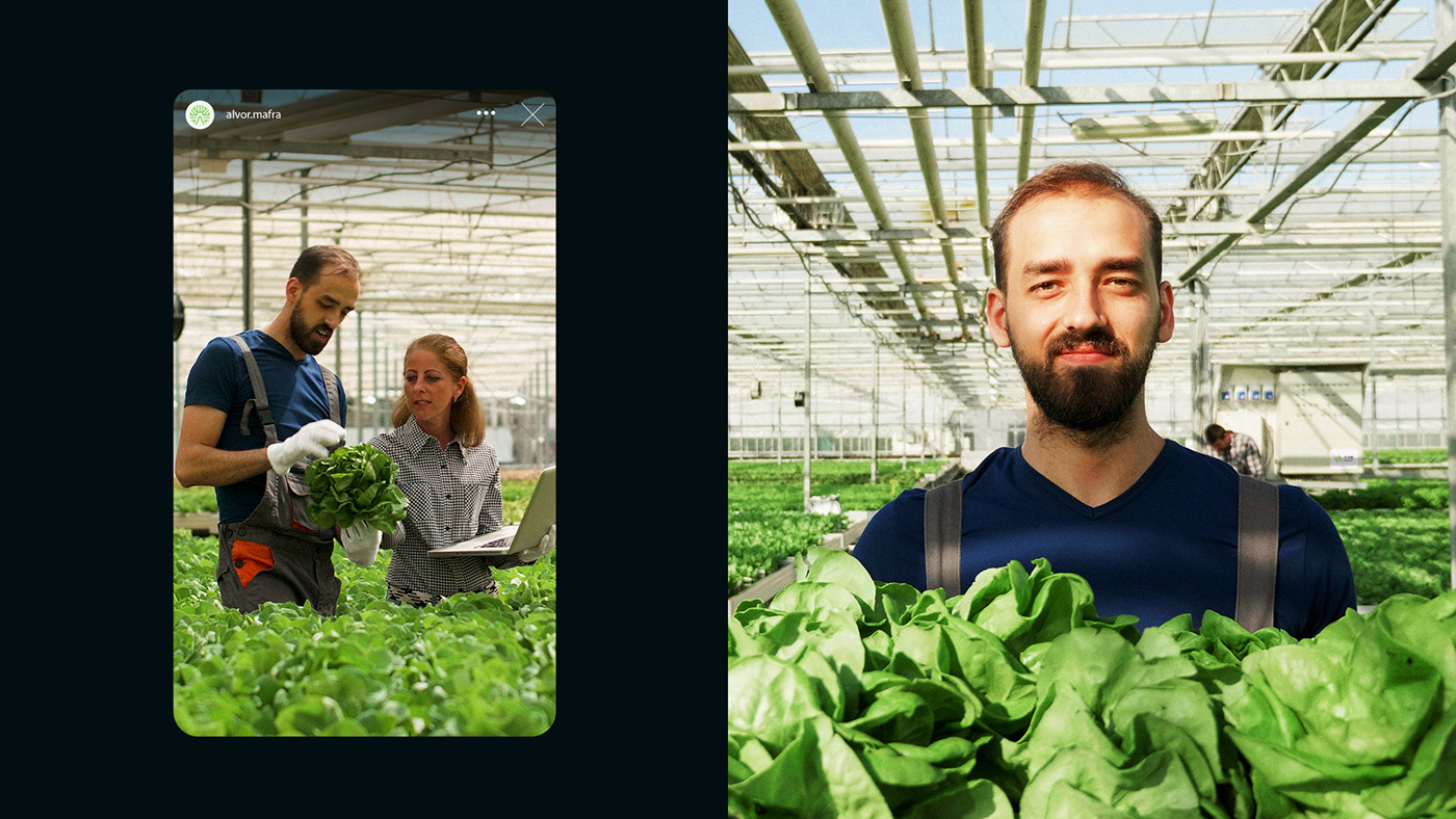 Alvor农业市场品牌形象设计 Alvor 品牌形象