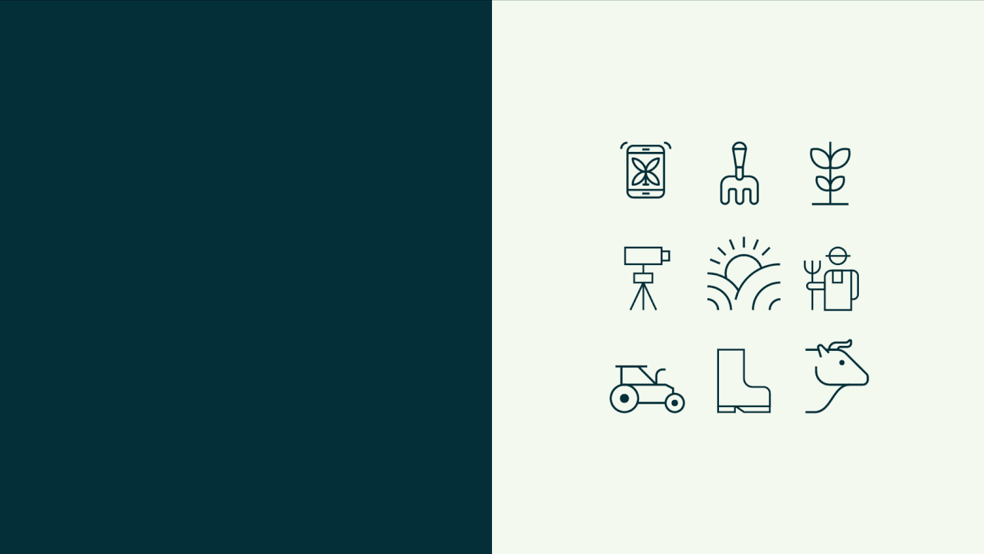 Alvor农业市场品牌形象设计 Alvor 品牌形象