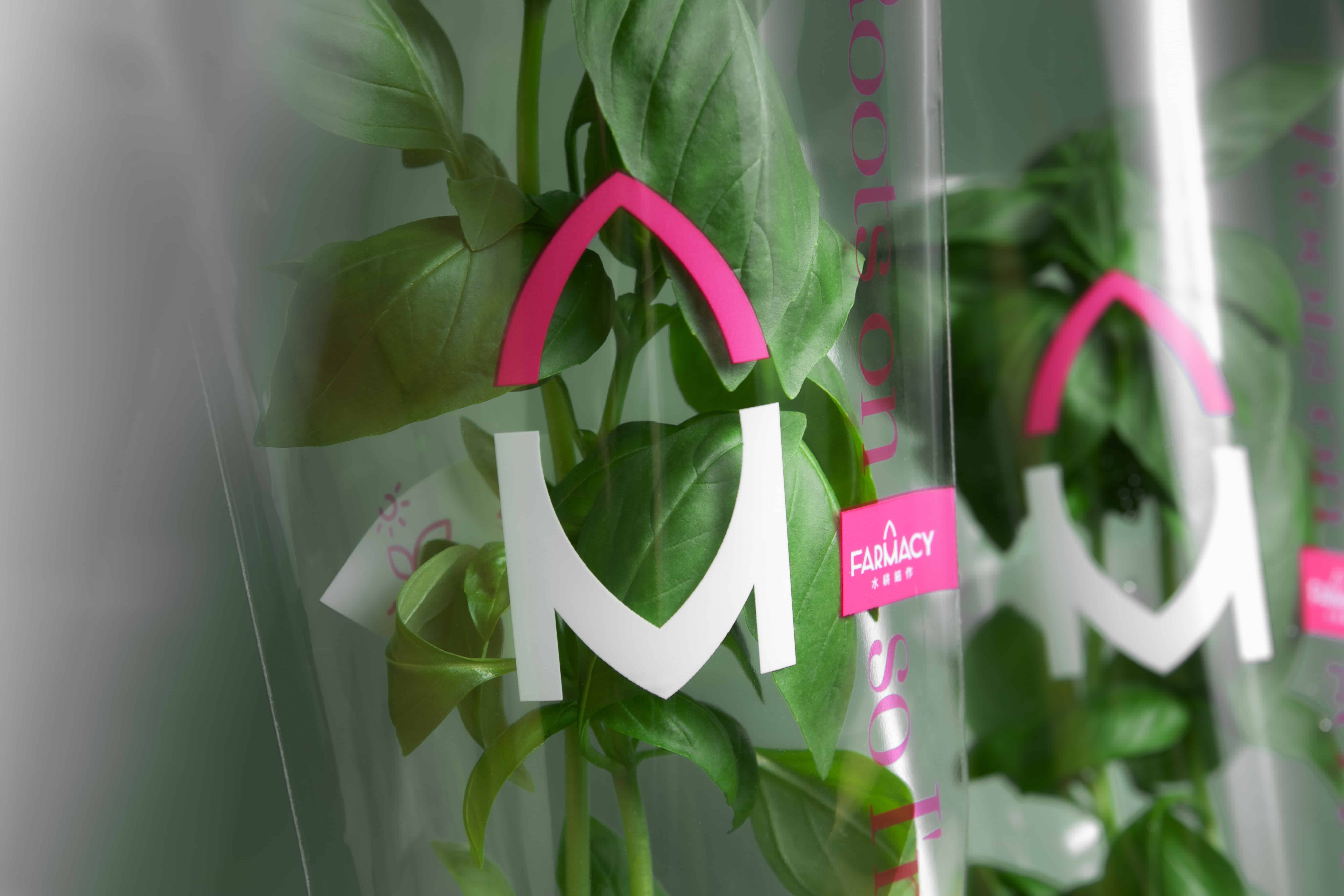 移动农场品牌形象重塑VI设计理念及包装