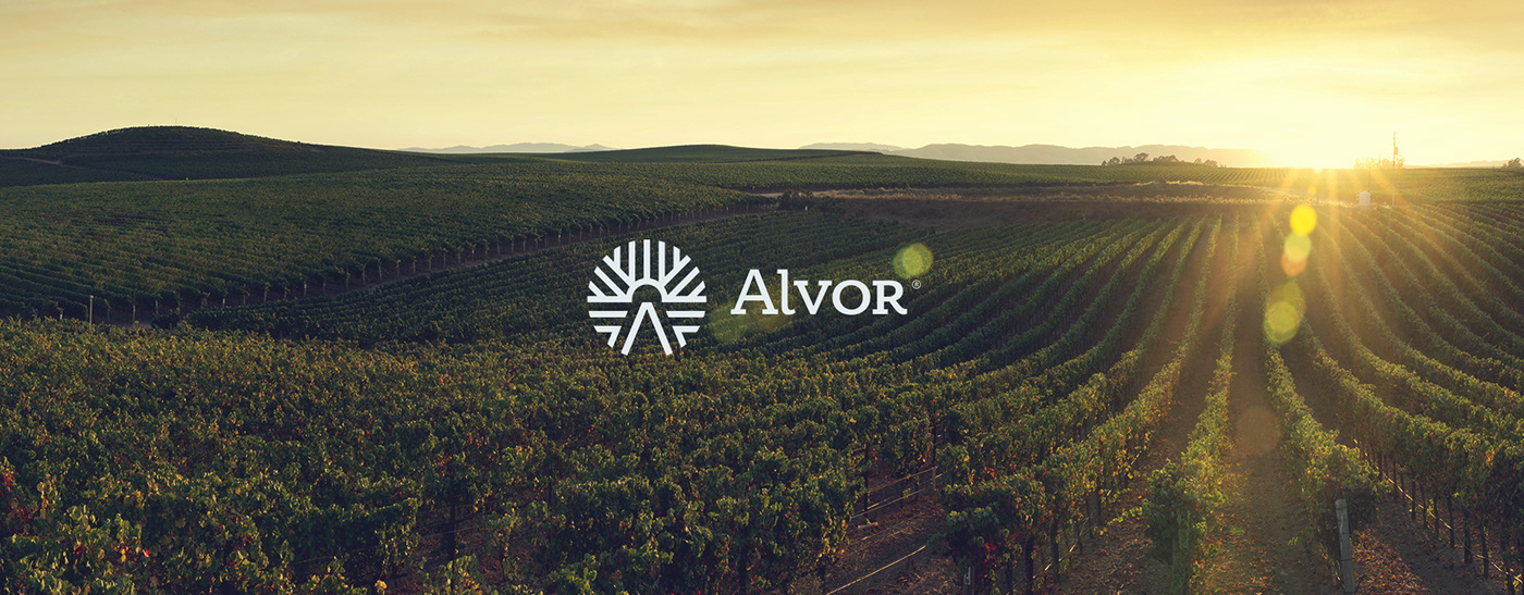 Alvor农业市场品牌形象设计 Alvor 品牌标志