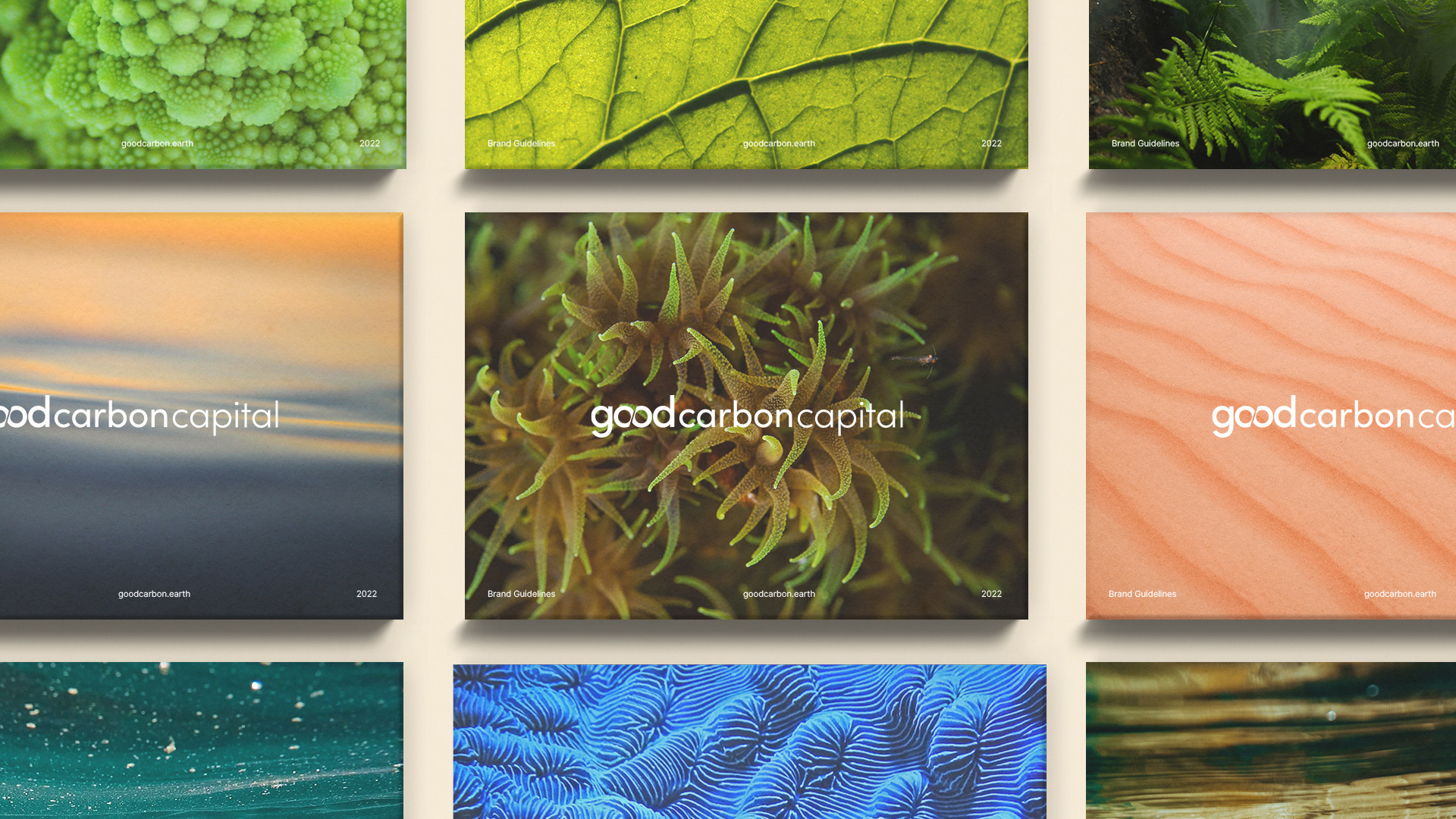 goodcarbon Capital 品牌形象