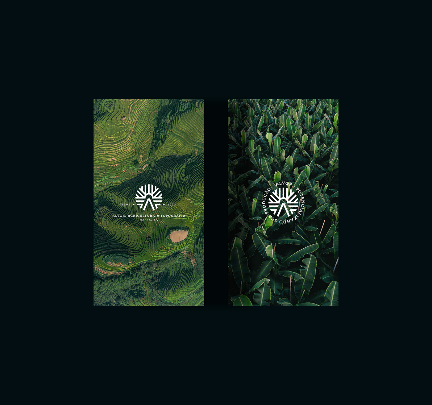 Alvor农业市场品牌形象设计 Alvor 品牌形象