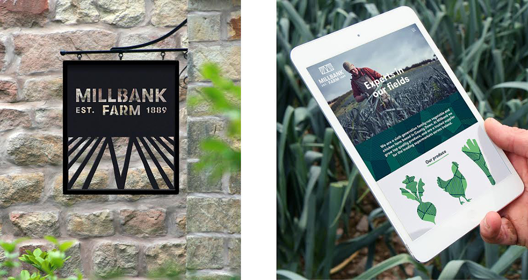 高级设计公司是如何将品牌卖点和品牌形象设计相结合的