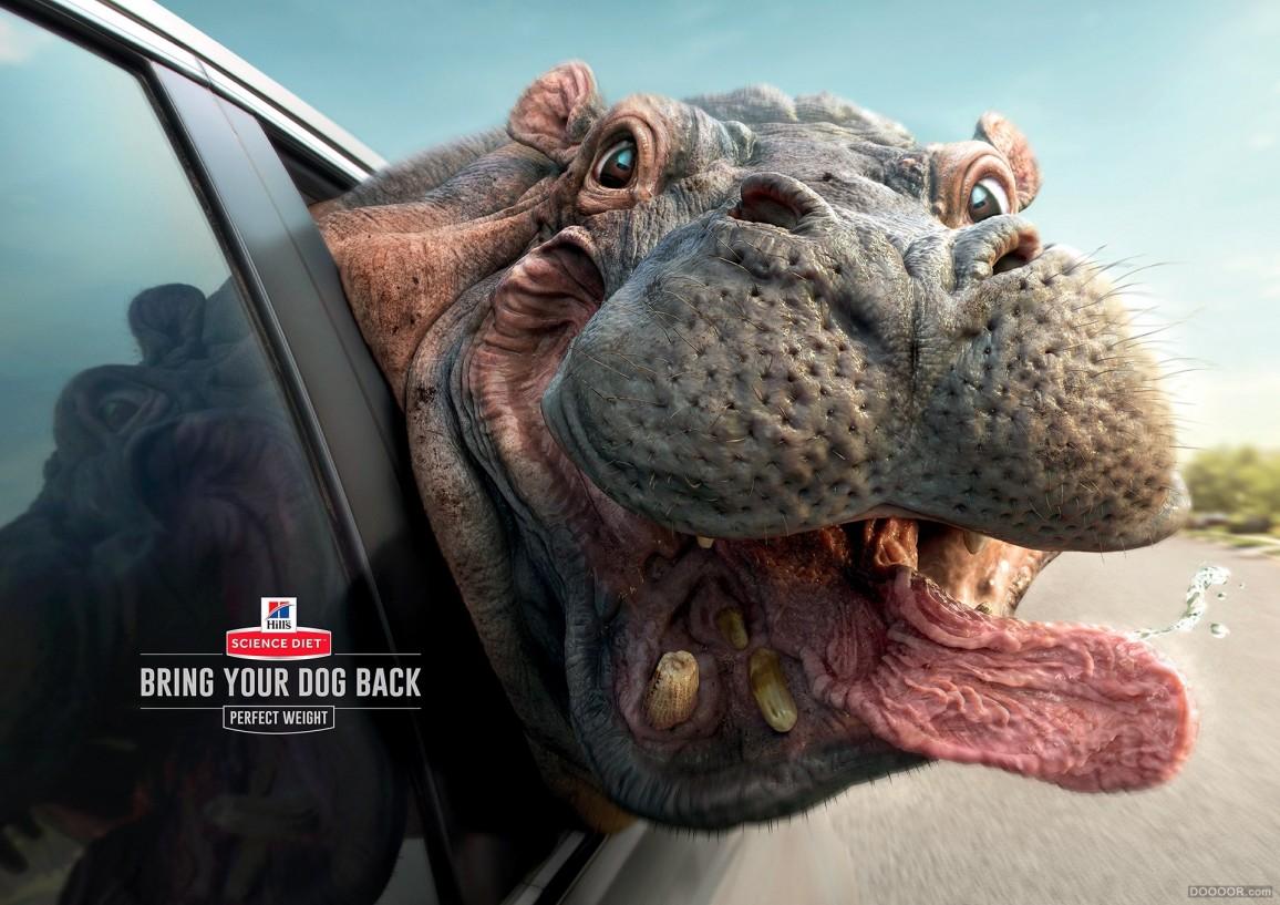 深圳品牌设计关于创意的杂谈