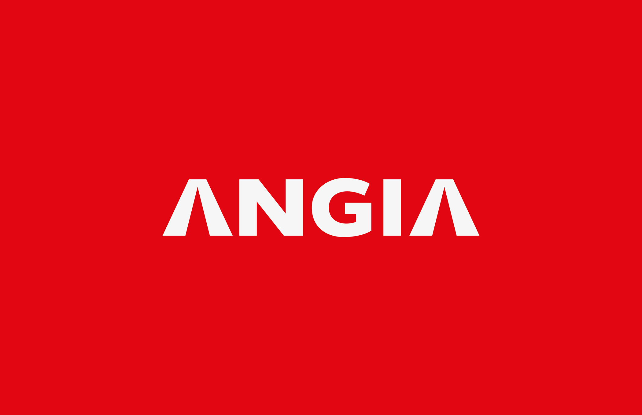 ANGIA投资公司VI设计赏析