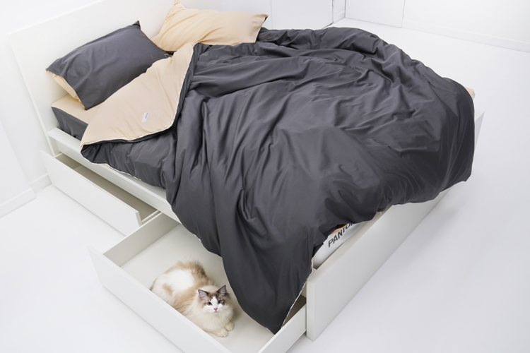 深圳企业形象设计分享:Pantone推出了新的实体店和产品系列