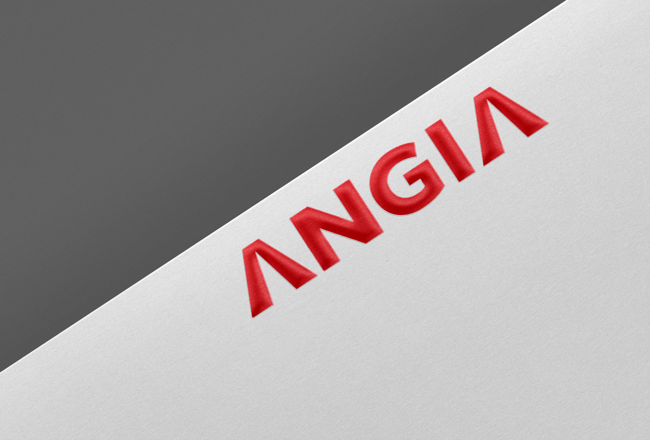 ANGIA投资公司VI设计赏析