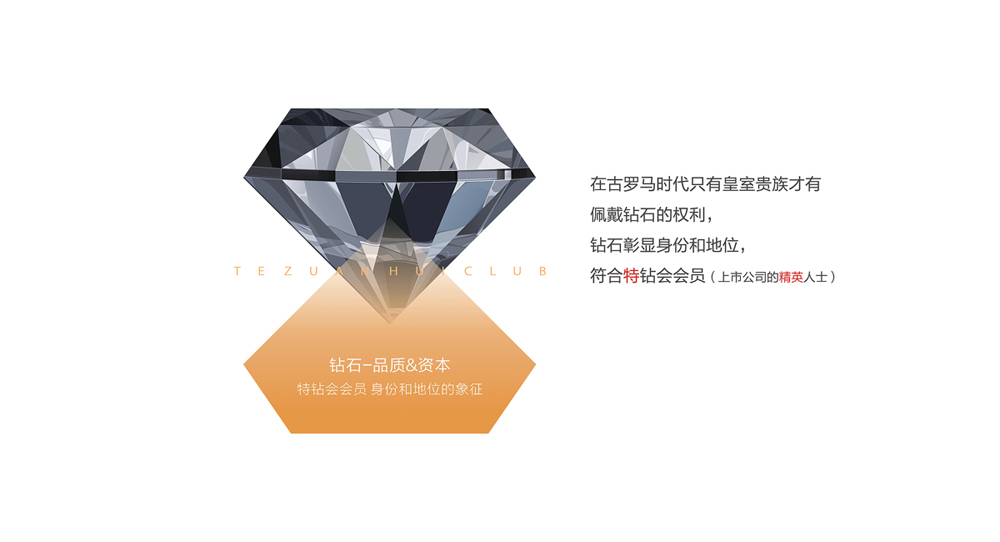 商会LOGO设计与VI设计案例-特钻会