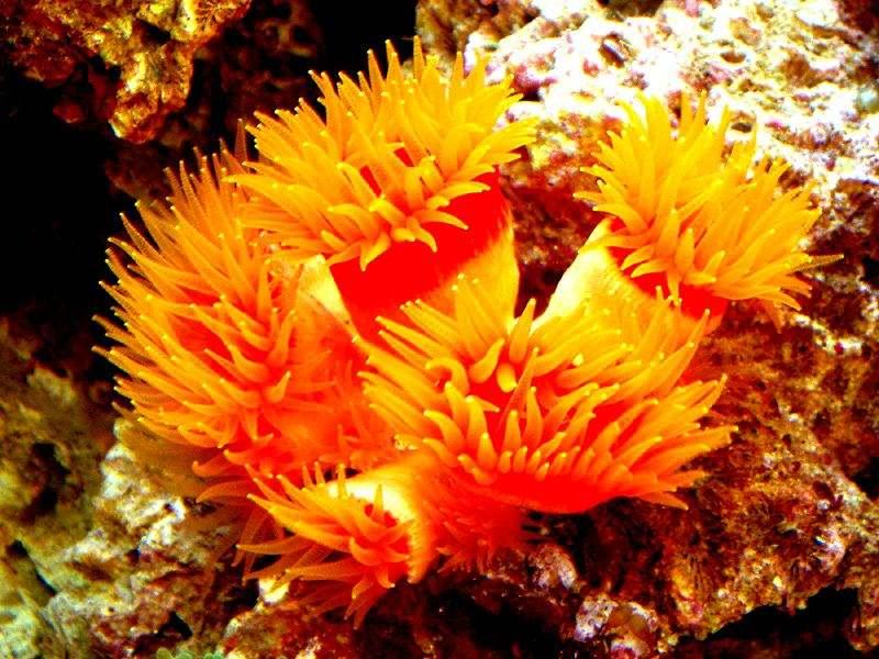 2020年深圳品牌设计流行的颜色分析