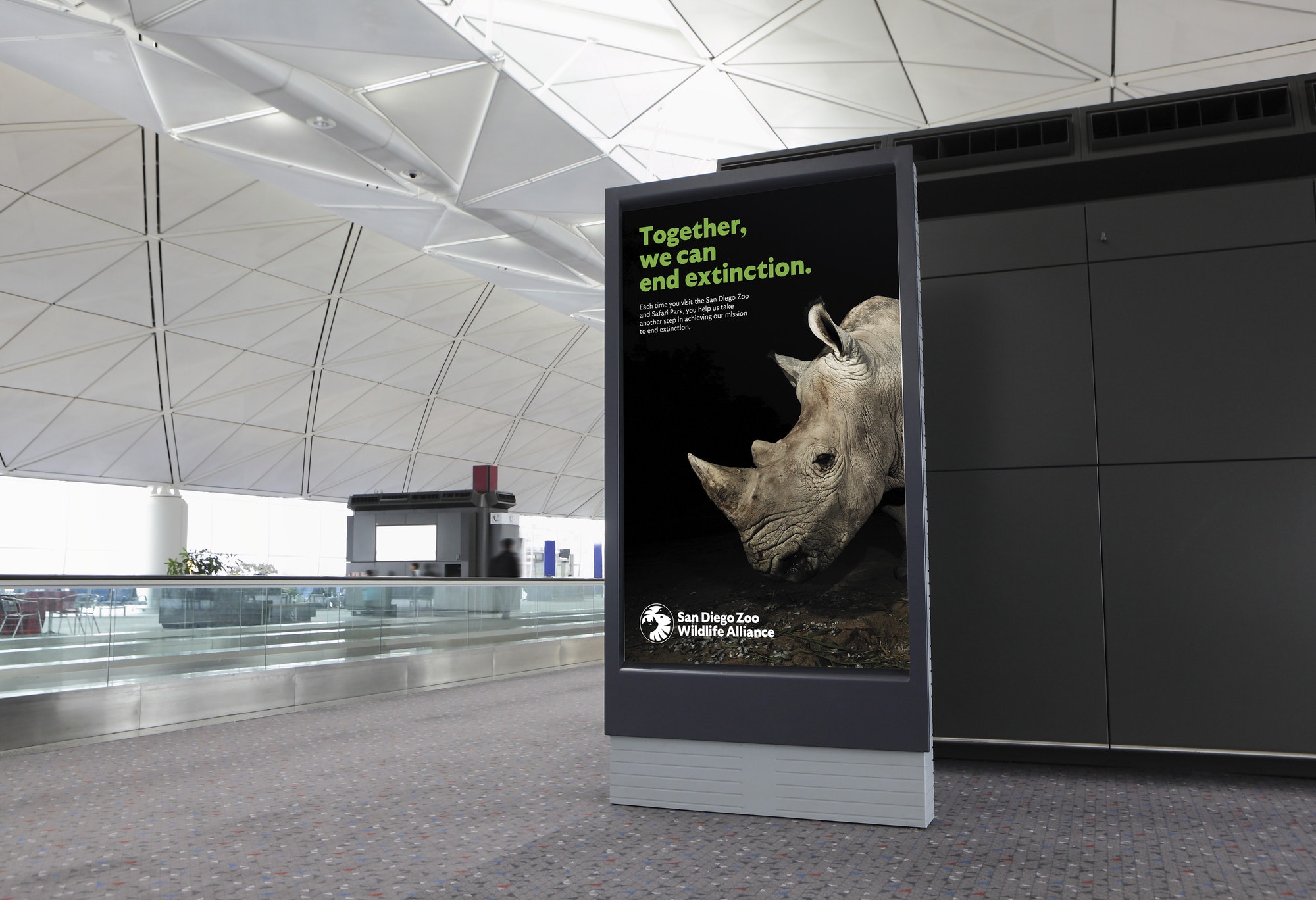 品牌设计最新动态：圣地亚哥动物园品牌形象焕然一新