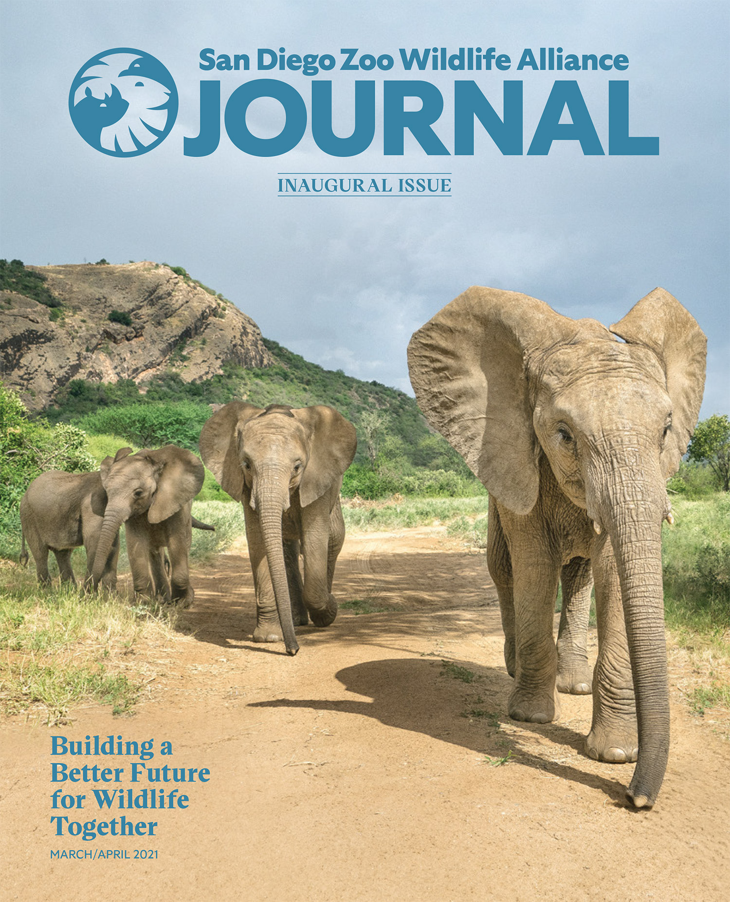 品牌设计最新动态：圣地亚哥动物园品牌形象焕然一新