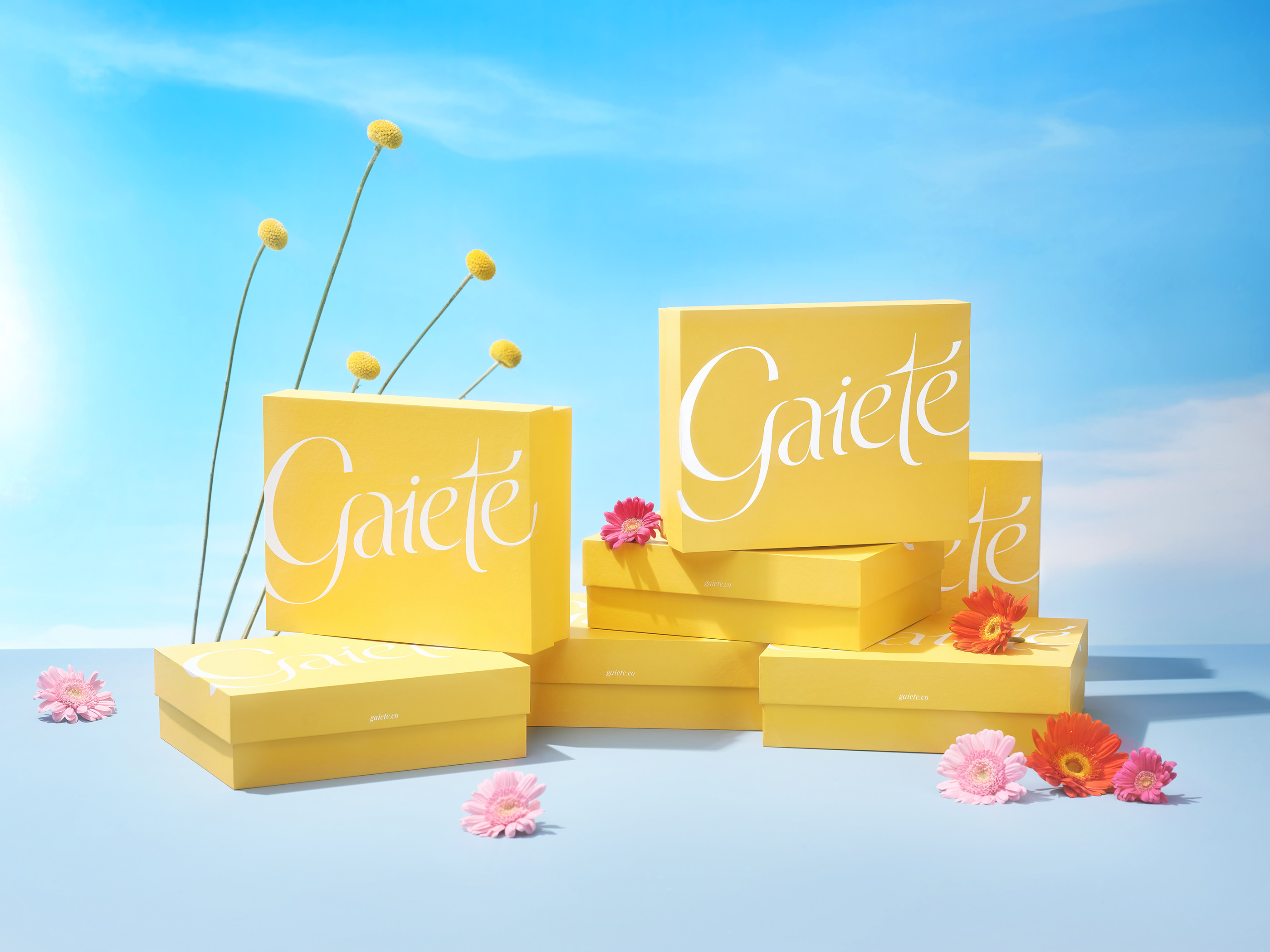 VI设计公司分享Gaieté精美包装设计