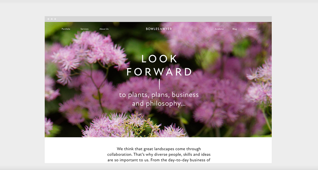 深圳VI设计公司分享：园艺品牌视觉设计