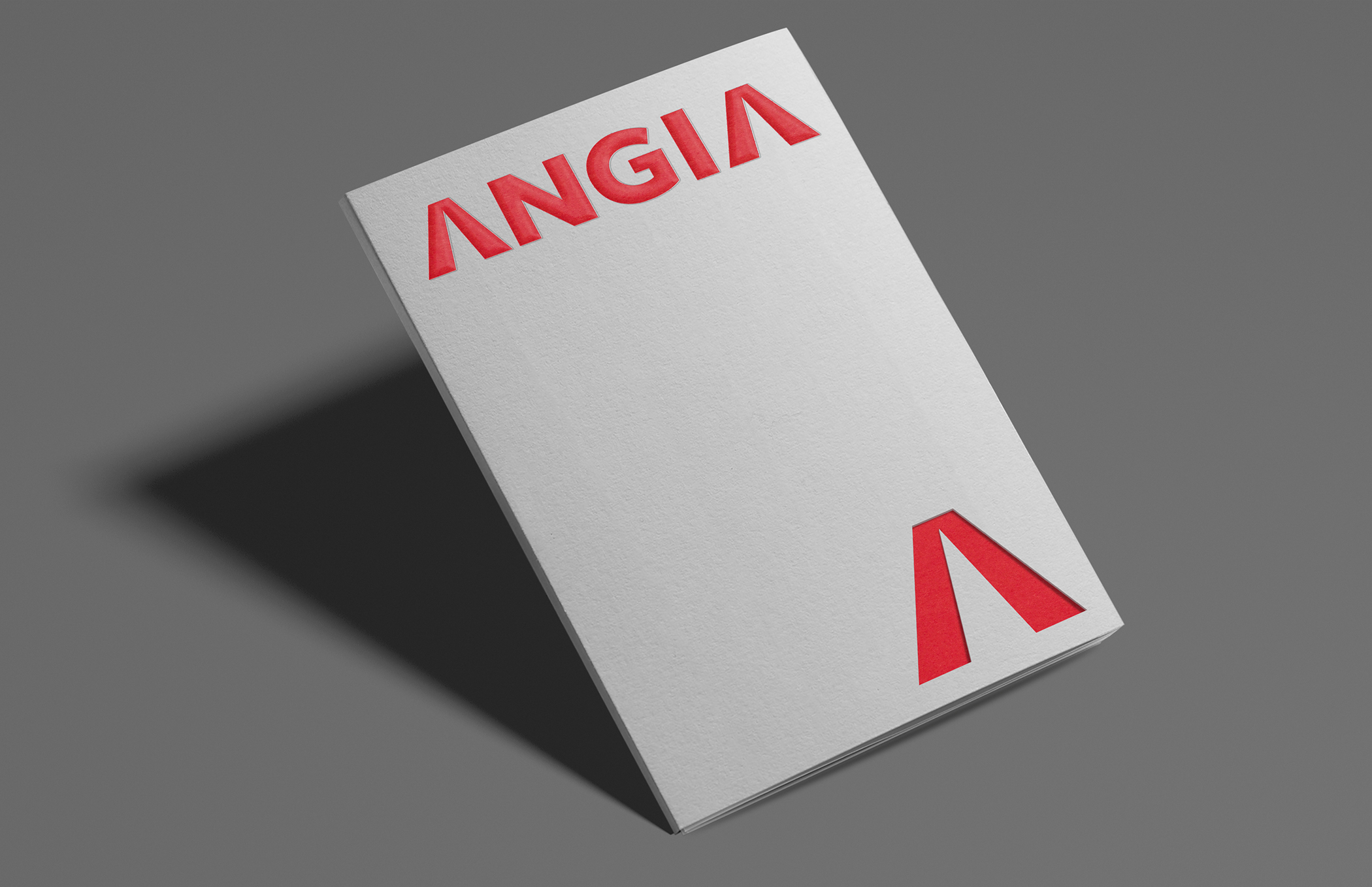 ANGIA投资公司VI设计赏析